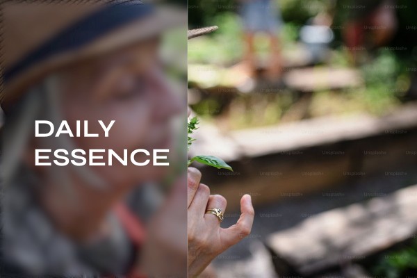 daily essence