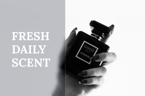 fresh daily scent