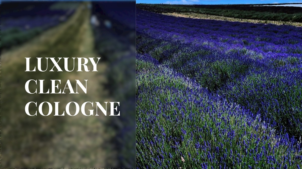 luxury clean cologne