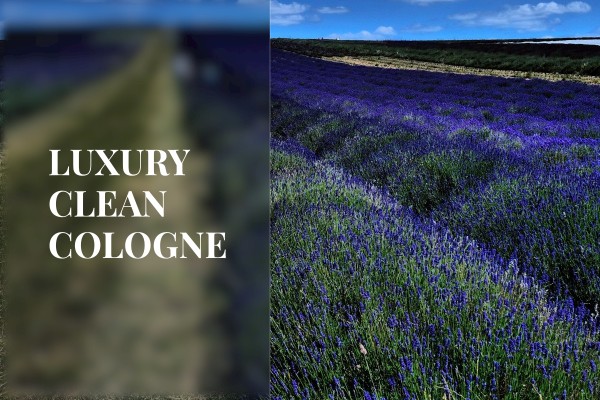 luxury clean cologne