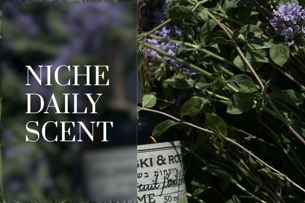 niche daily scent