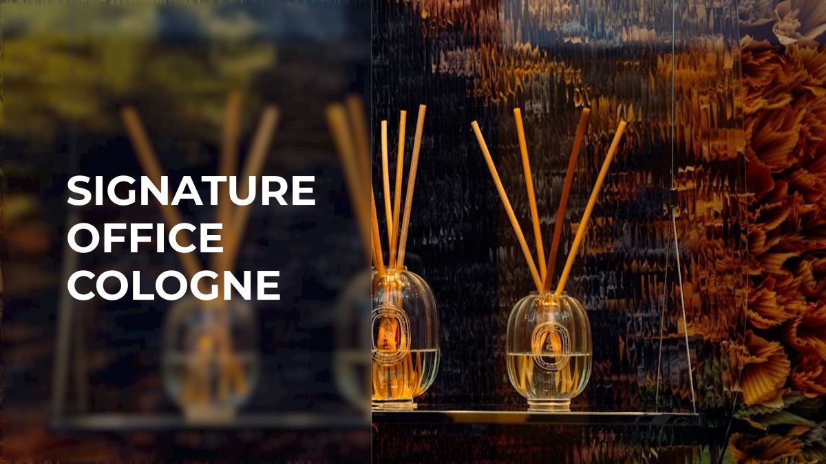 signature office cologne